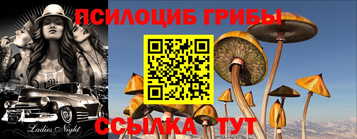 Галлюциногенные грибы мухоморы Жигулёвск